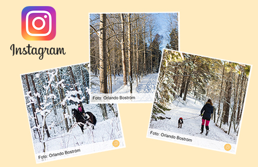 Missa inget - följ Järvastaden på Instagram