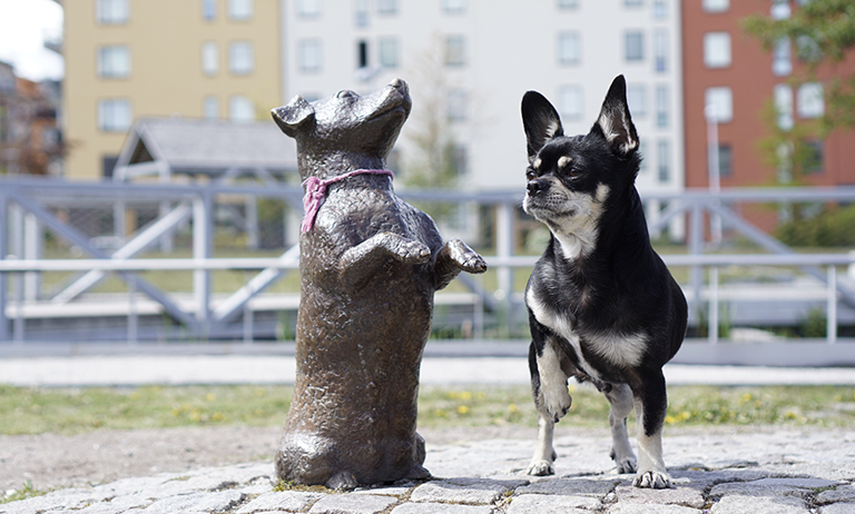 Hållbara Järvastaden