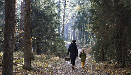 Hållbara Järvastaden