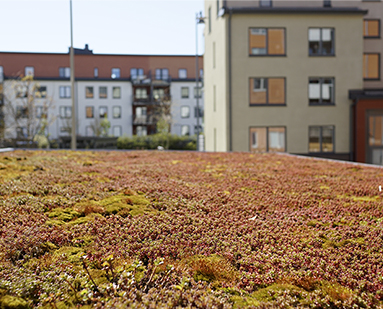 Hållbara Järvastaden