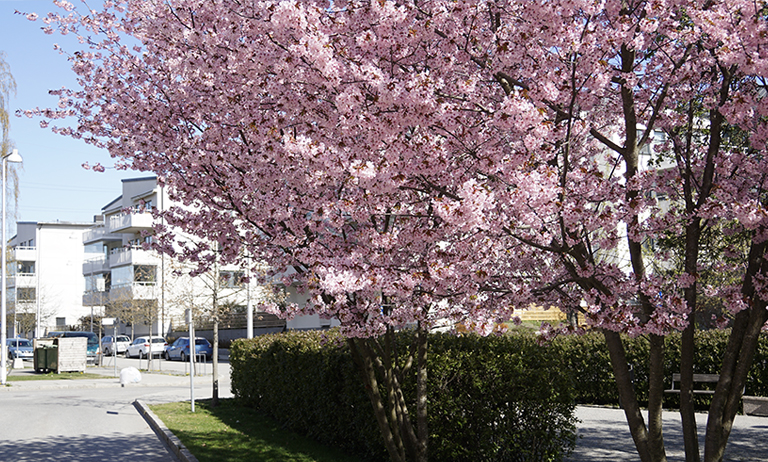 Hållbara Järvastaden