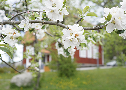 Hållbara Järvastaden 