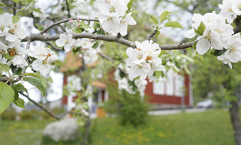 jarvastaden hallbarhet utrymme lek fantasi 3