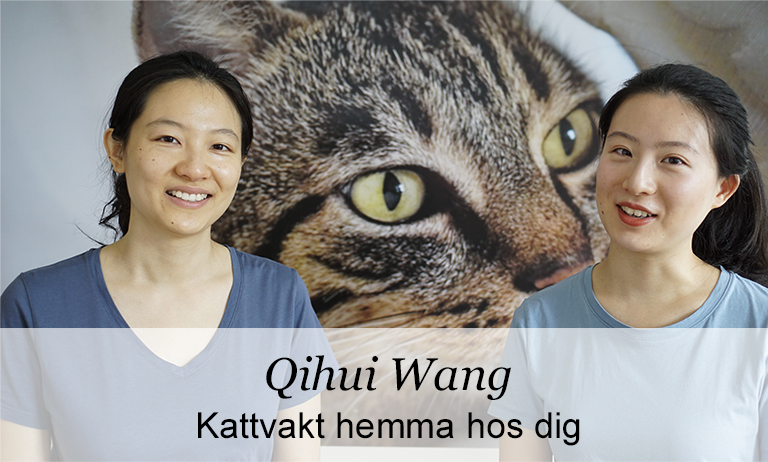 Qihui Wang Kattvakt i Järvastaden