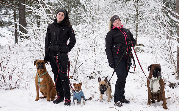 Trygga Hund hunddagis Järvastaden