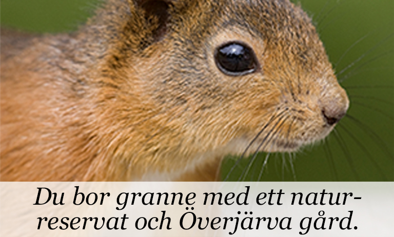 jarvastaden start 5